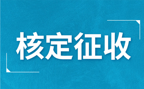 江西大額個(gè)體戶(hù)核定征收標(biāo)準(zhǔn)，2024年最新政策